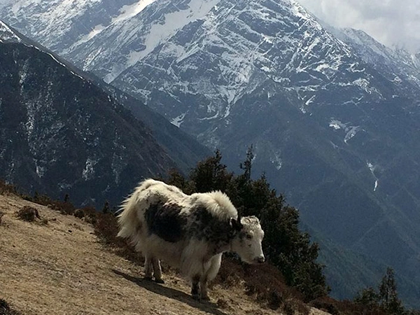 Everest Base Camp Trek in November