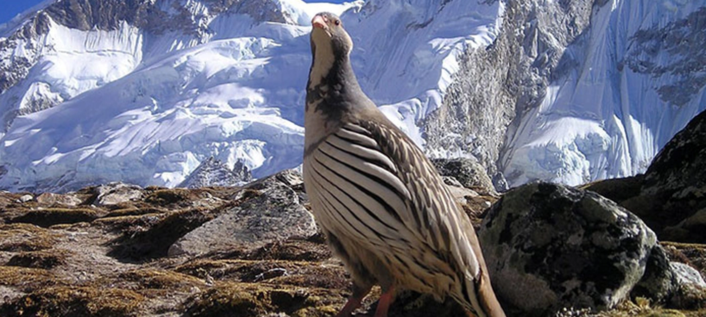 Best Time to Go Trekking in Nepal