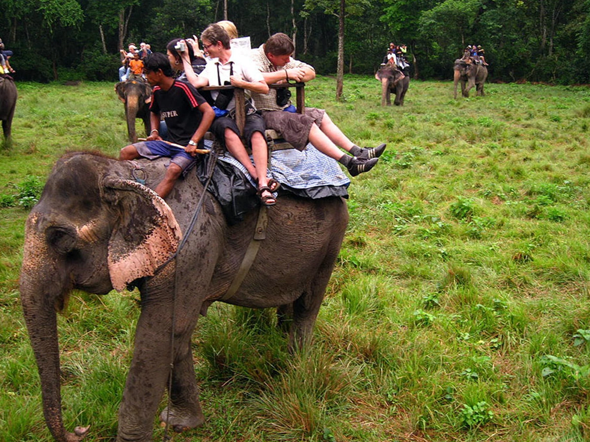 Chitwan National Park Jungle Safari