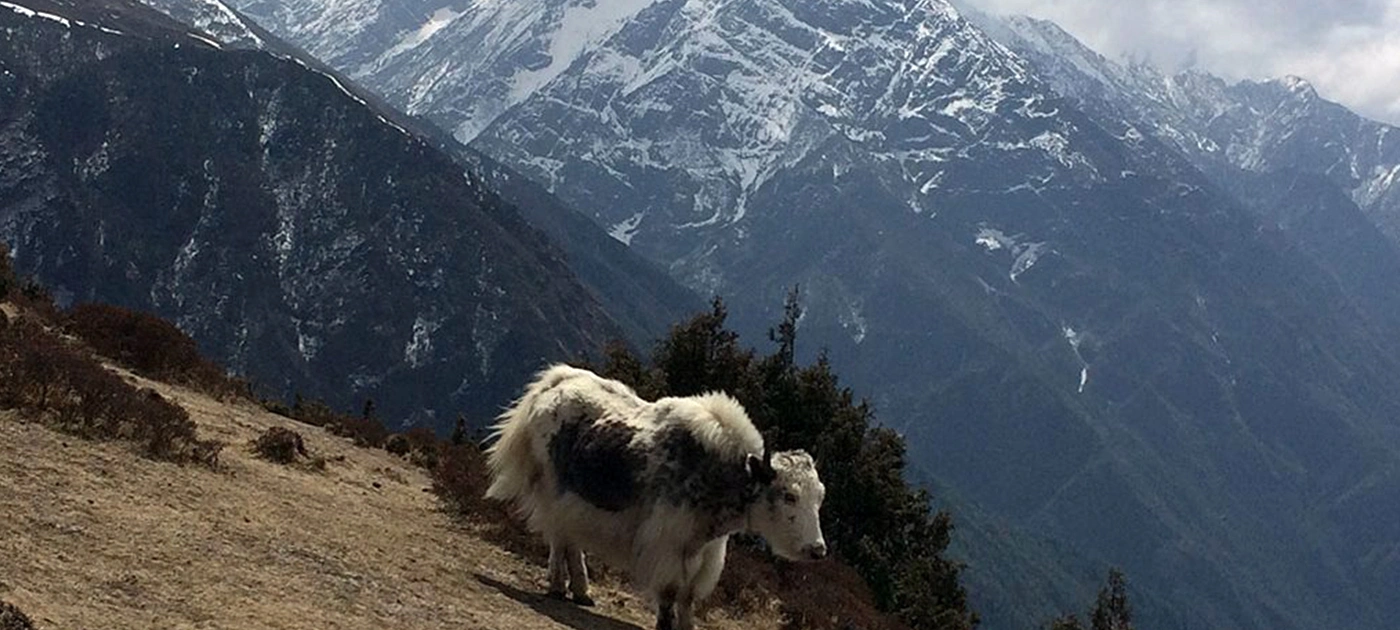 Everest Base Camp Trek in November