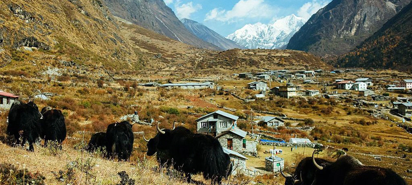 Langtang Valley Trek Cost