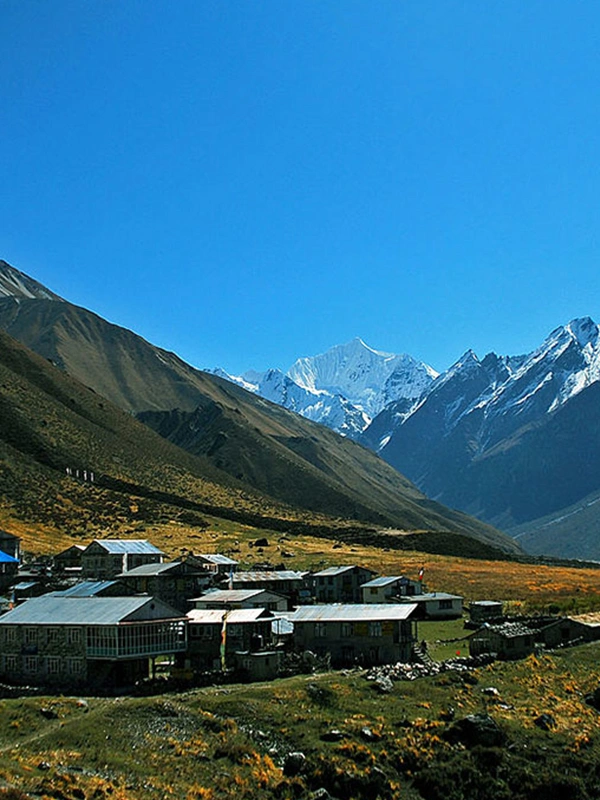 Helambu Langtang Trek