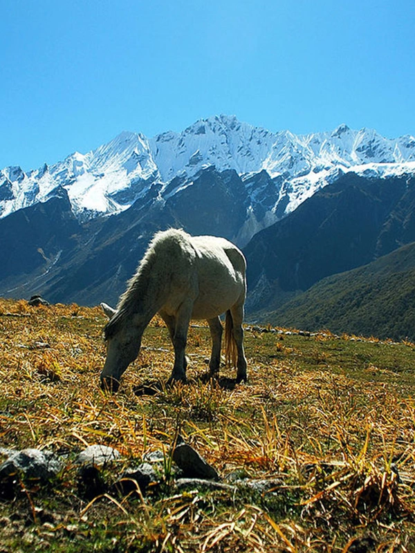 Langtang Valley Short Trek
