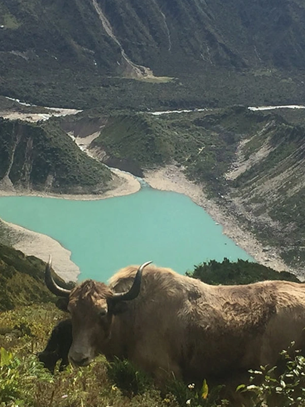 Manaslu Circuit Trek – 15 Days